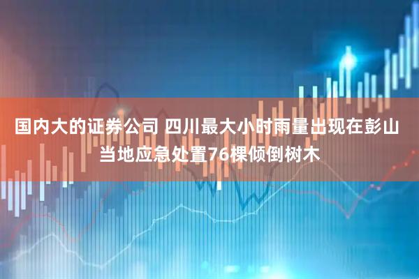 国内大的证券公司 四川最大小时雨量出现在彭山 当地应急处置76棵倾倒树木