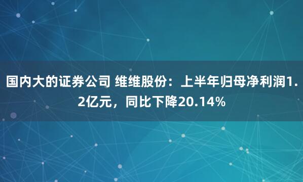 国内大的证券公司 维维股份：上半年归母净利润1.2亿元，同比下降20.14%