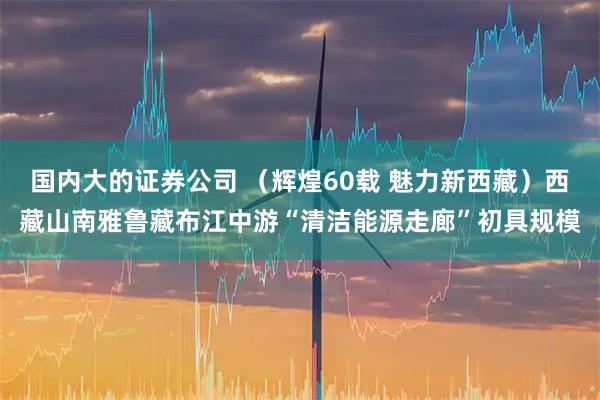 国内大的证券公司 （辉煌60载 魅力新西藏）西藏山南雅鲁藏布江中游“清洁能源走廊”初具规模