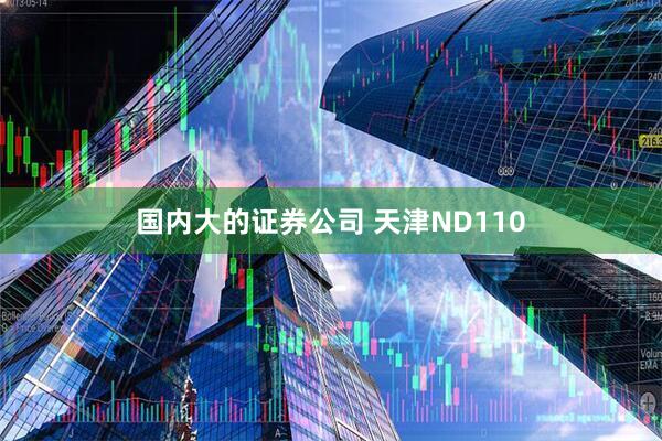 国内大的证券公司 天津ND110