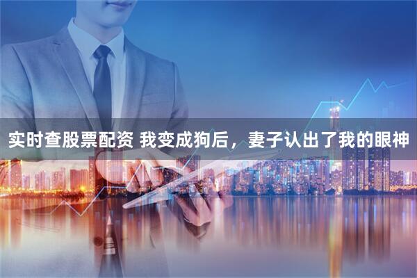 实时查股票配资 我变成狗后，妻子认出了我的眼神